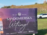 Młode Wino i Gęsina w Winnicy Sandomierskiej :)